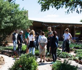 garden-tour-7-s