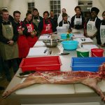 pig-students-s